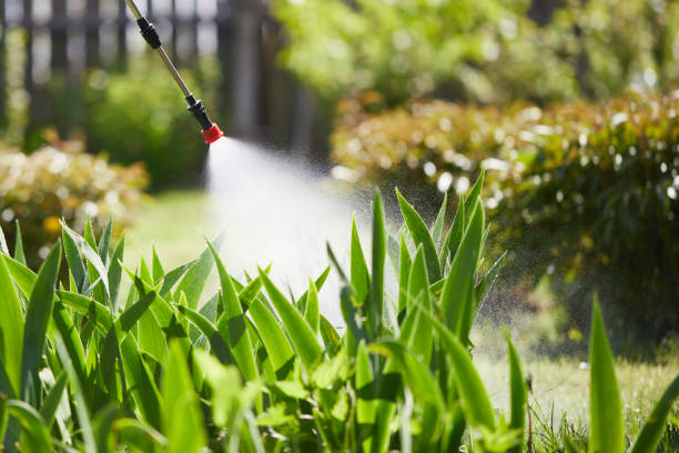 24/7 Emergency Wasp Removal experts in Arbury Hills, IL