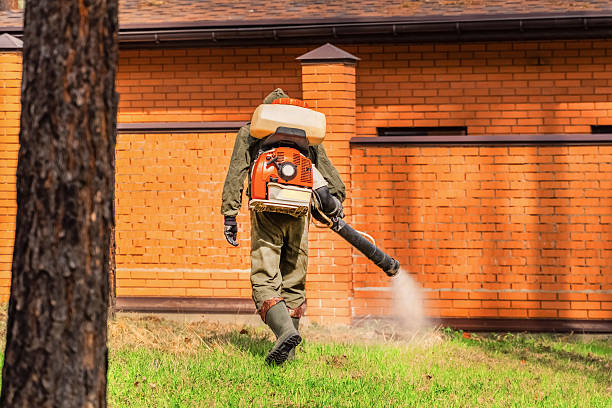 Top rated local Wasp Removal specialists in Arbury Hills, IL